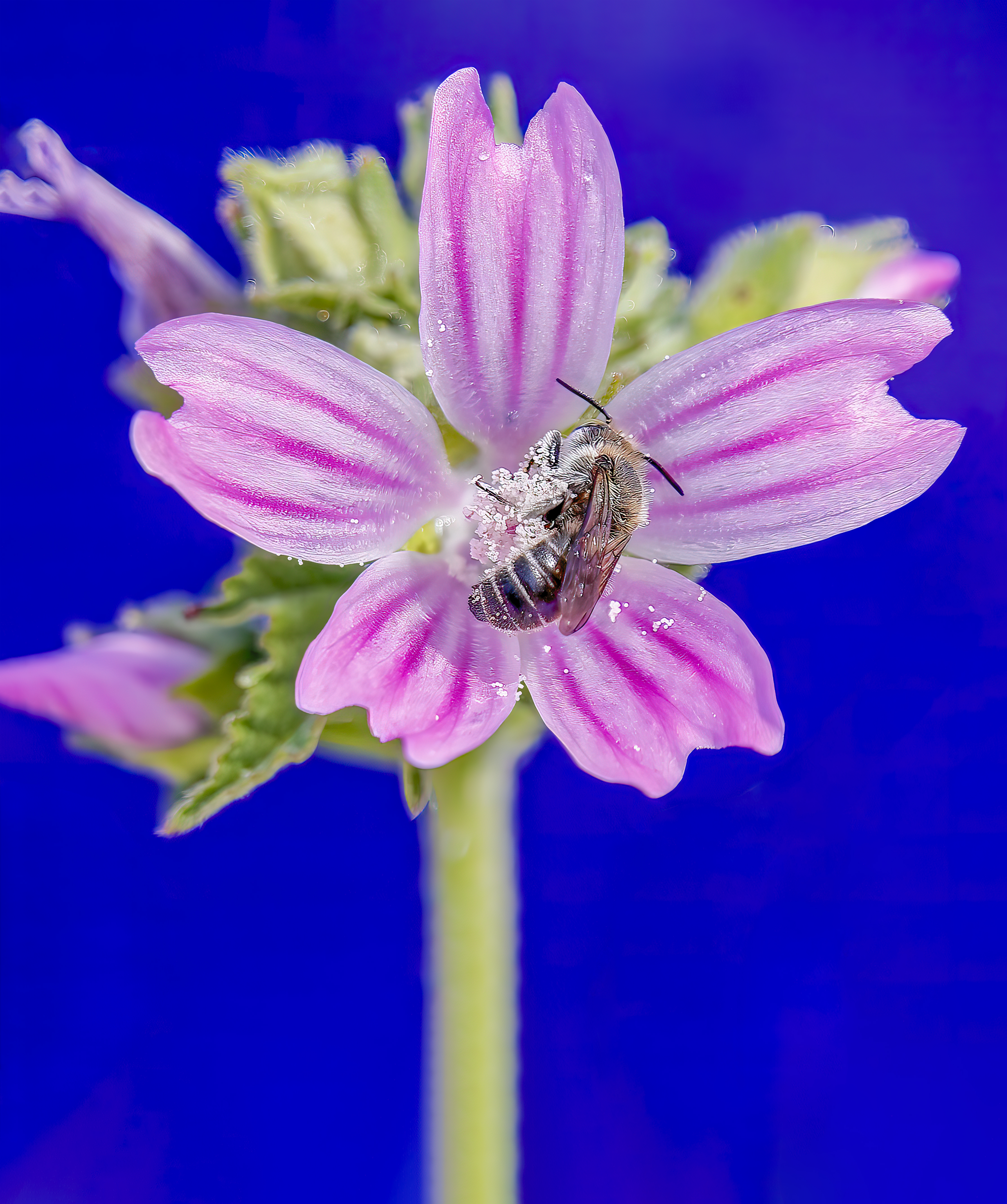 2025. SEPTIEMBRE. TEMA: 